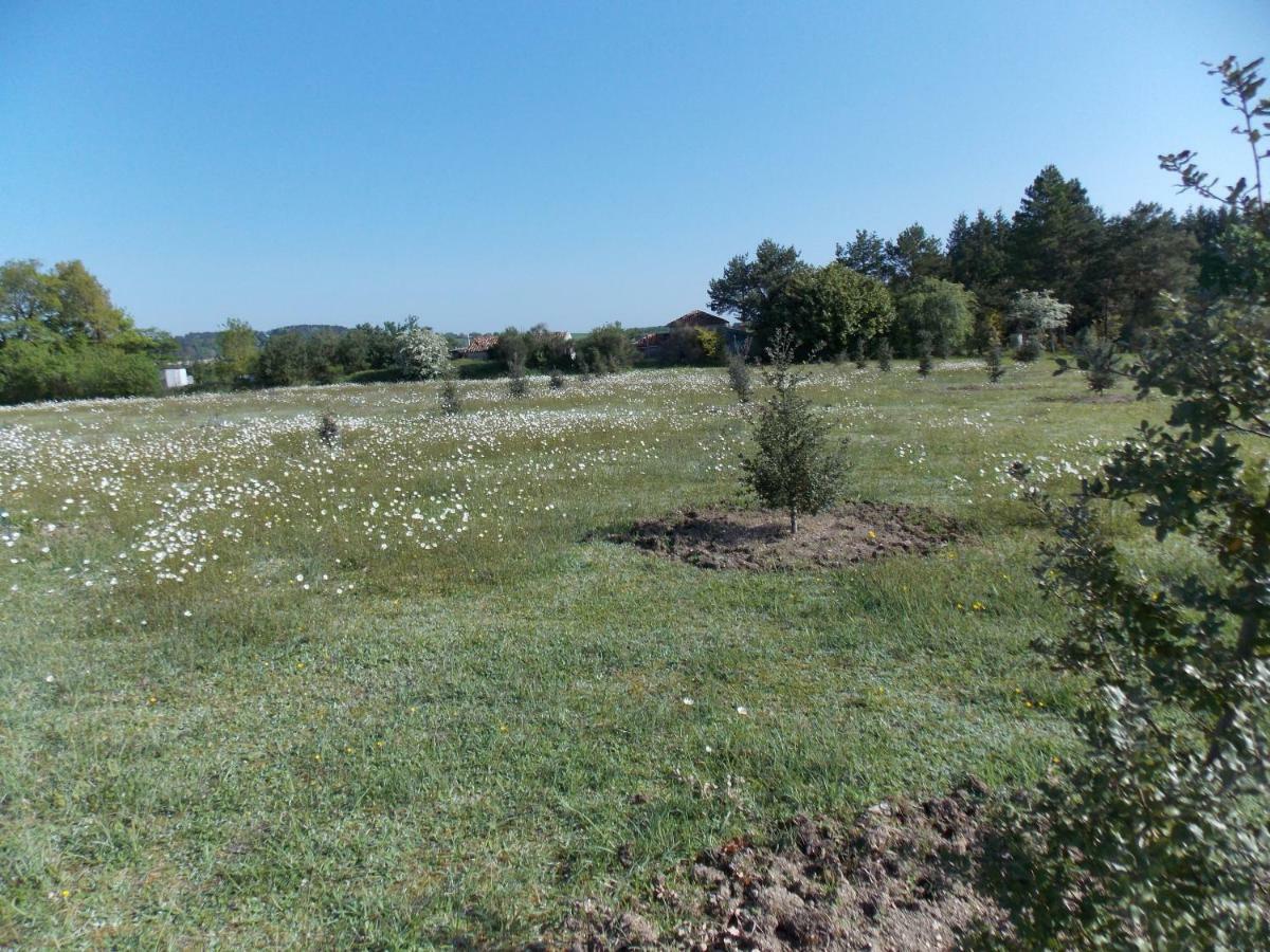 Гостьовий будинок Le Petit Breuil Verteillac Екстер'єр фото
